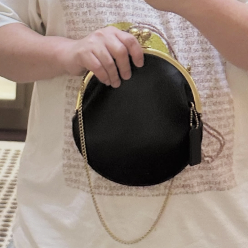 Kisslock Pouch 20cm Clutch Cli - Luxury Bags Consignment บทวิจารณ์และราคา