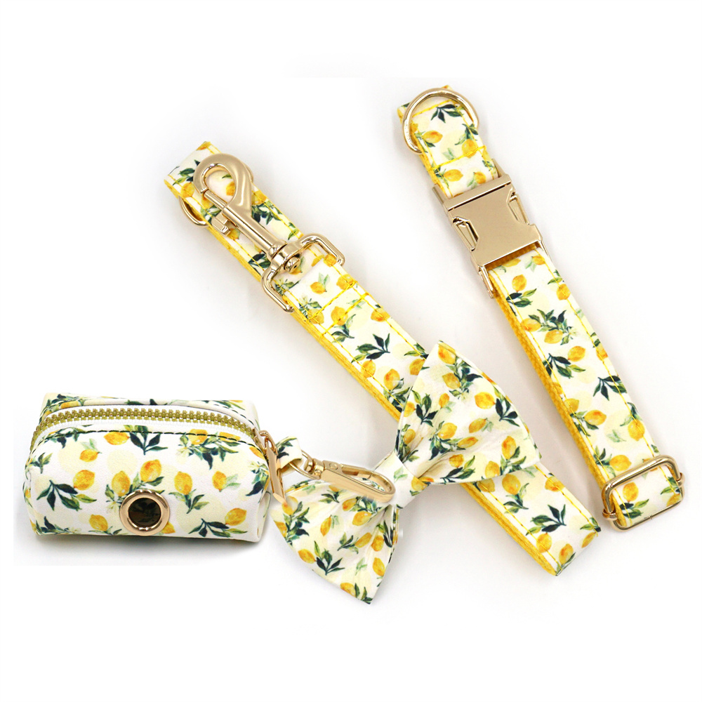 Personalized Pet Collar for Ca - Luxury Bags Medium Size บทวิจารณ์และราคา