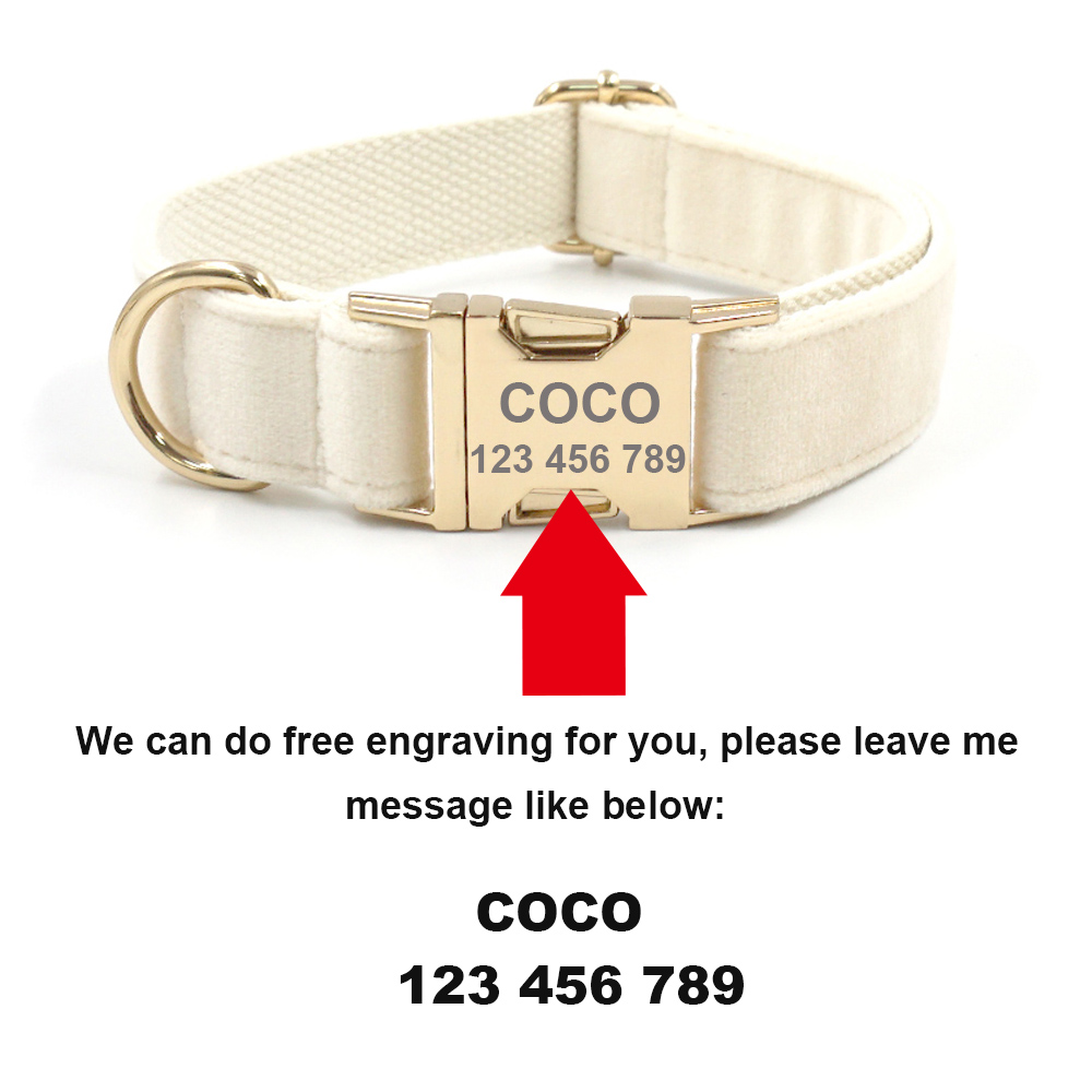 Personalized Pet Collar for Ca - Luxury Bags Medium Size บทวิจารณ์และราคา
