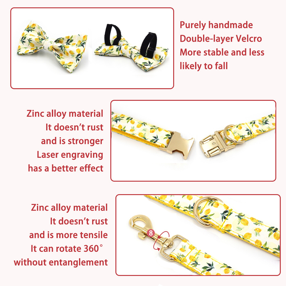 Personalized Pet Collar for Ca - Luxury Bags Medium Size บทวิจารณ์และราคา